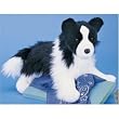 CHASE BORDER COLLIE 16"