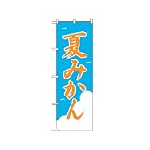 のぼり 2237 夏みかん