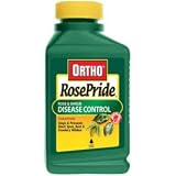 ROSE PRIDE DISEASE CONT -PINTS