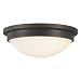 Murray Feiss FM228ORB Boulevard Collection 12.5-Inch 2-Light Flush Mount, Oil Rubbed Bronze Finish with White Opal Etched Glass Shade