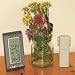 Kitchen & Housewares : Weather Station WS9635