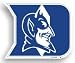 Duke Blue Devils 12 Car Magnet