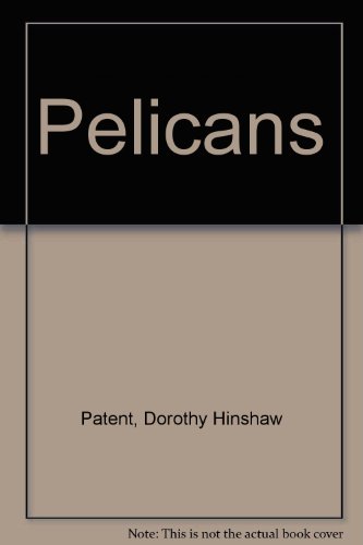 Pelicans
