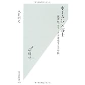 ホームレス博士　派遣村・ブラック企業化する大学院 (光文社新書)