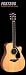 Yamaha FGX730SCA Acoustic Electric Guitar