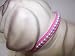 Kitchen & Housewares : Little Pearl Vinyl Dog Collar 8in Pink 33P