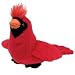 TY Beanie Baby - REDFORD the Cardinal Bird