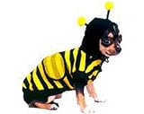 Bee Dog Costume -Size 0