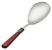 Rosanna Pearlized Red Napoleon Pasta Server