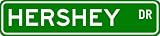 Personalized Name Street Sign - 4 x 18 Aluminum