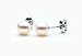 Freshwater Cultured Pearl Earrings 5.5-6mm White Pearls with Silver Mount