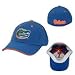 Florida Gators NCAA Dobby Flex Baseball Cap by All Star Apparel (ROY) (Small/Medium)