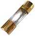 Produkt-Bild: Dietz Glassicherung AGU (10,3x38 mm)