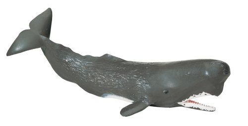 Childrens Toyshop  Toys : Monterey Bay Collection- Sperm Whale Adult