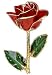 Eine echte rote Rose, teilvergoldet und ewig haltbar, mit vergoldeter Vase in einer edlen roten Geschenkverpackung!