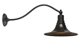 World Imports Lighting 9099-89 Dark Sky Kingston Light Outdoor Lantern, Bronze