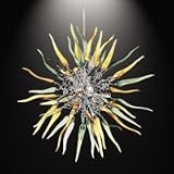 Chilli 6lt Ceiling Pendant