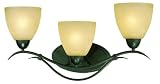Best Price Thomas Lighting SL7673-63 Limestone - Three Light Bath Fixture, Painted Bronze Finish with Warmly Aged Glass