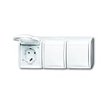 Busch-Jaeger 2300/3EW-54 SCHUKO Steckdose 3fach alpinwei&szlig; 2300 / 3 EW-54