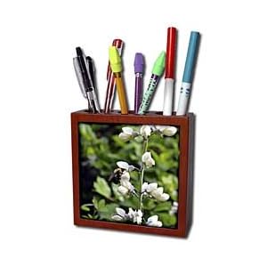 WhiteOak Photography Floral Prints - Bee is on different side of flowers - Tile Pen Holders-5 inch tile pen holder