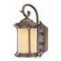 Thomas Lighting PL525523 Fleur Lis Outdoor Sconce, Colonial