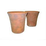 Greenhouse Collection Large Hot House Pots (Set of 2) by 