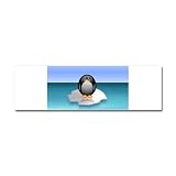 Car Magnet 10 x 3 Cute Baby Penguin