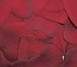Heart Shaped Silk Rose Petals Wedding Favors Decor - 1000 Count - Burgundy