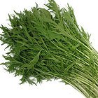 Oisix どんな料理にも合う 有機栽培水菜（茨城県産）