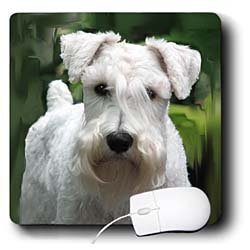 image link - - B002M0S1NY