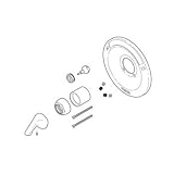 Delta RP54870SS Renovation Kit - 600 Series Tub and Shower, Stainless