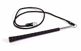 Stamina Gyrotonic Golf Club Accessory with Video