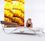 Furniture FX Flyer Platform Bed & Mattress Set