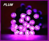 Imaginary Colors, Decorative Lights: Plum Quantum Dots G12 40-LED Light String