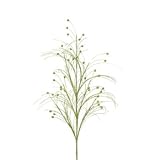 Return to product information