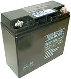 31kYwPeyNjL. SL160  Lowest Price UPG UB12180 Sealed Lead Acid Batteries ..Buy This