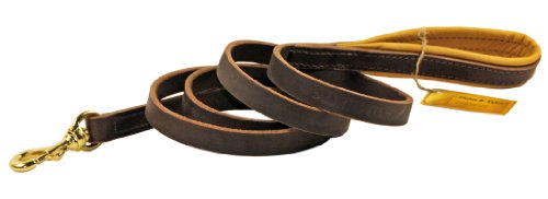 Dean and Tyler Soft Touch Dog Leash, Brown 6-Feet by 3/4-Inch Width With Brown Handle And Solid Brass Hardware.