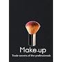 Make-up (Trade Secrets of the Professionals)