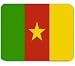 Cameroon Flag Mousepad Mouse Pad Mat