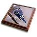 Art - Michaelangelos David Statue - Trivets