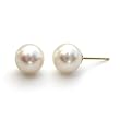 HinsonGayle Gem Collection Handpicked AAA 7.5-8.0mm White Cultured Pearl Stud Earrings (14K Yellow Gold)