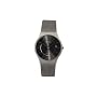Skagen Men's 233LTTM Titanium Mesh Watch