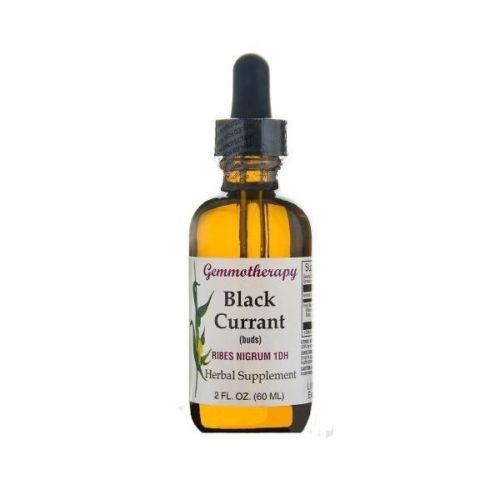 Gemmotherapy Black Currant (Ribes Nigrum) 1DH