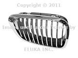 31kZwVuKuhL. SL160  BMW OEM Grill / Grille RIGHT for 323Ci 325Ci 328Ci 330Ci M3 by EZ