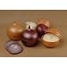 Onion Keeper (Colors May Vary) [Kitchen]