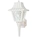 Angelo Brothers 66946 1-Light Lantern with Textured Panels