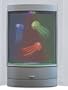 Swimming Jellyfish Aquarium
