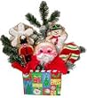 Christmas Santa Bouquet 5 Cookies