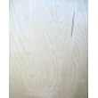 3/4" WHITE BIRCH PLYWOOD 24" ROUND [CAPITOL CITY LUMBER]