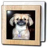 Dogs Pekingese - Pekingese - Tile Napkin Holders